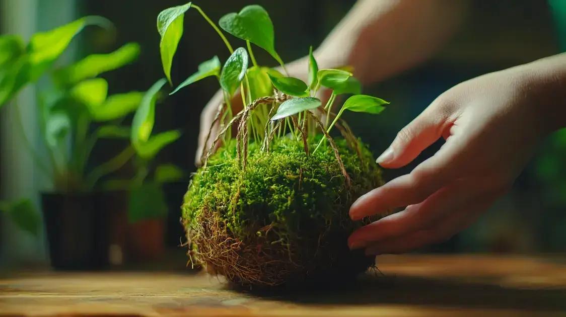 Cuidados e Manutenção do Kokedama